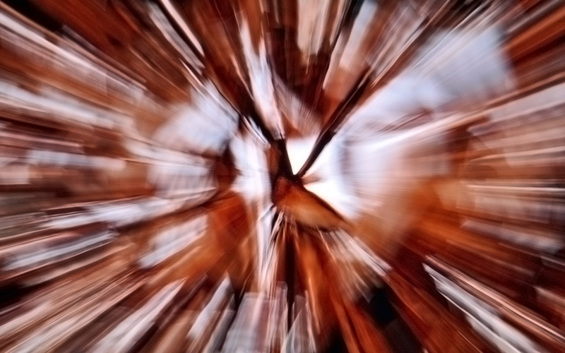 Illustration for article titled Zoom Photo Challenge Gallery 2